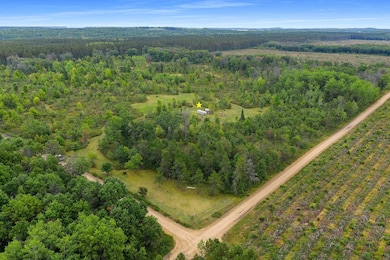 0 Forest 1628 Rd unit 50316410, Crivitz, WI 54114 - photo 5