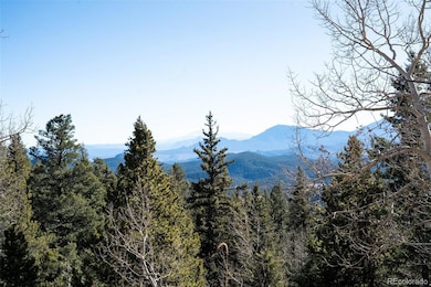 11722 Braun Way, Conifer, CO 80433 - photo 2