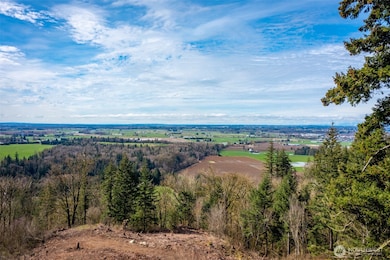 48 XX Reese Hill Rd, Sumas, WA 98295 - photo 3