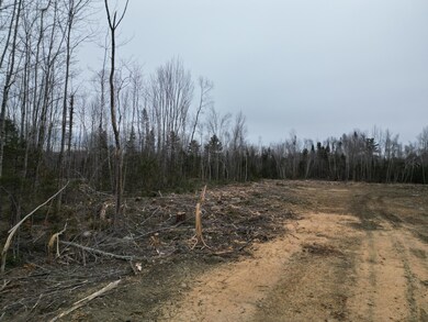 Lot 52.3 Lagrange Rd, Howland, ME 04463 - photo 5