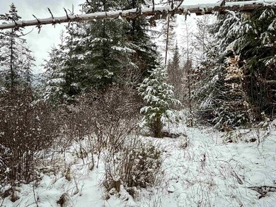 NKA Deer Creek Rd, Valley, WA 99181 - photo 7