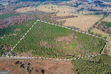 #46 Owens Dairy Rd, Lyerly, GA 30730 - photo 3