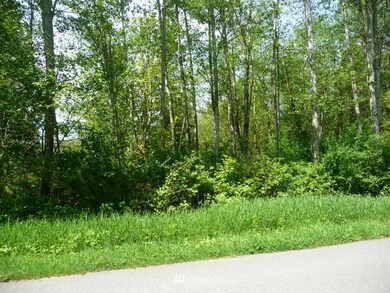 23919 4th Ave NW, Stanwood, WA 98292 - photo 7