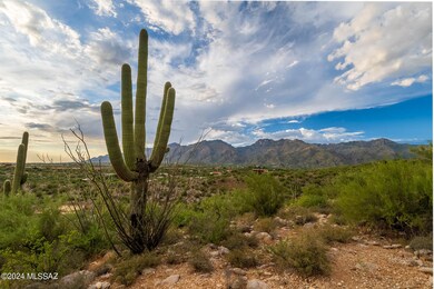 Sweeping views of North Catalina Mtns!
