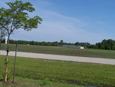00 Highway 15 and 301, Santee, SC 29142 - photo 2