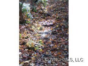 Streambed