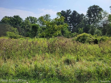 ABC Hemingway Lake, Otter Lake Vlg, MI 48464 - photo 2