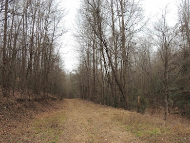 0 Lister Rd, Greer, SC 29651 - photo 6