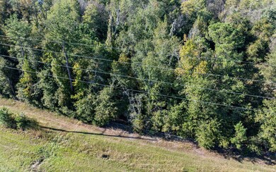 0 NW Lake Jeffery Rd unit 128900, Lake City, FL 32055 - photo 5