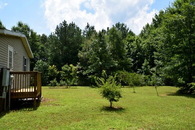 500 Beagle Run Ln, Alberta, VA 23821 - photo 7