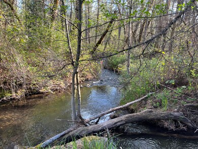 Creek Front Property