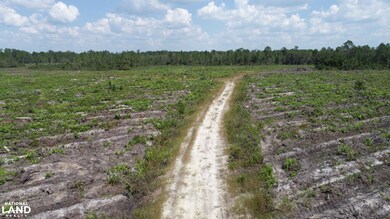 0 County Line Rd unit 18961791, Hinesville, GA 31313 - photo 3