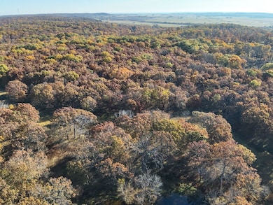 00000 S4290 Rd, Big Cabin, OK 74332 - photo 3