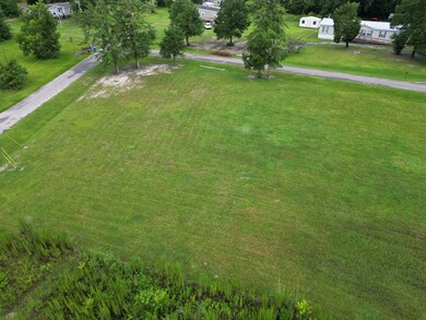 LOT 1 Thomas Cir, Wewahitchka, FL 32465 - photo 7