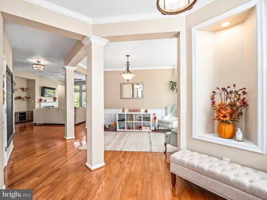 42250 Sand Pine Place, Chantilly, VA 20152 - photo 5