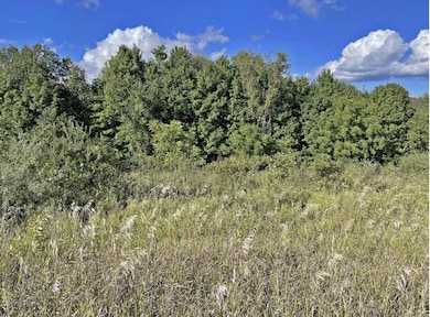 Screenshot 2025-08-18 at 5.52.21PM