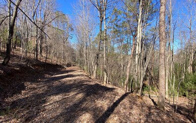 L2&3 My Mountain Rd, Morganton, GA 30560 - photo 3