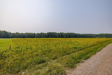 13 Acres Whitetail Ln, Tipler, WI 54542 - photo 3