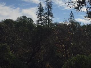 0 S Vannoy Creek Rd, Grants Pass, OR 97526 - photo 6