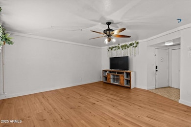 6236 N 16th St unit 1, Phoenix, AZ 85016 - photo 7