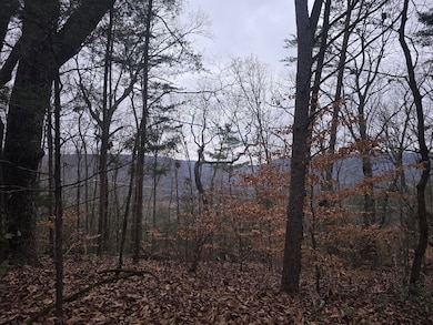 7943 Harper Rd, Hixson, TN 37343 - photo 3