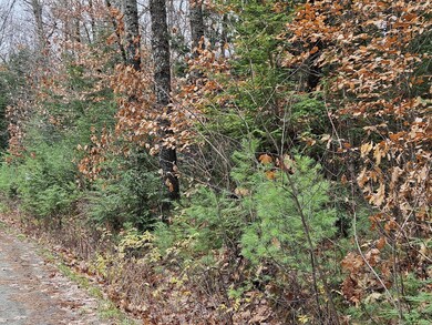 20251111_122704_result