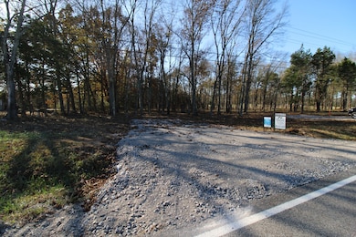 2831 Unionville Rd, Chapel Hill, TN 37034 - photo 2