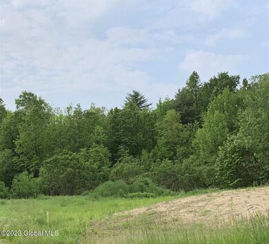 297 Wilton Gansevoort Rd, Gansevoort, NY 12831 - photo 4