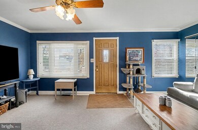 7316A Hughes Ave, Baltimore, MD 21219 - photo 6