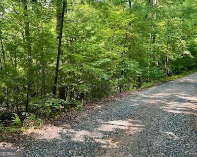 0 Hillbilly Holler unit 10349381, Blue Ridge, GA 30513 - photo 6