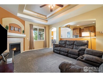 5925 Quarry St, Timnath, CO 80547 - photo 3