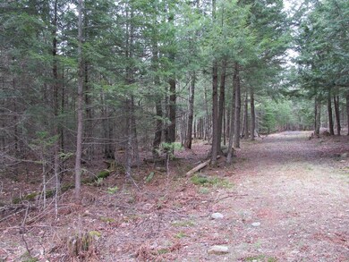 052 Bradbury Ridge Rd Off Averill, Dixfield, ME 04224 - photo 7