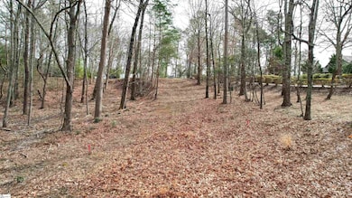 44 Mountain Oak Ln, Travelers Rest, SC 29690 - photo 7