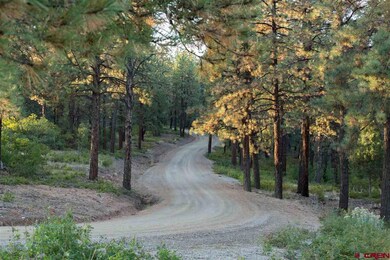 1102 Sheep Springs, Durango, CO 81301 - photo 5