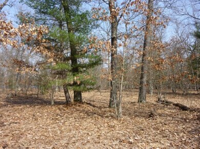 10712 N Beaver Trail, Bitely, MI 49309 - photo 2