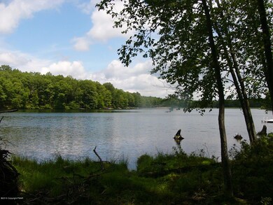 165 Mockingbird Ct, Bushkill, PA 18324 - photo 6