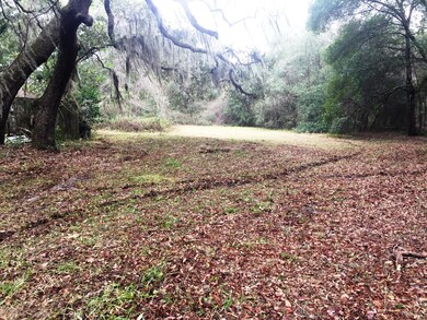 7869 State Road 100, Keystone Heights, FL 32656 - photo 4