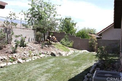 Gorgeous Backyard