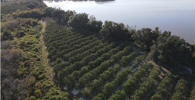 0 S Lake Patrick Rd unit 25664210, Frostproof, FL 33843 - photo 7