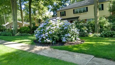 IMG_20160710_153123068_HDR (2)