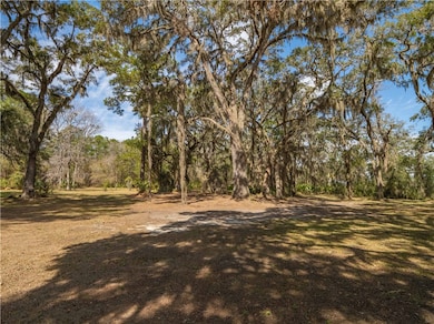 1680 Blythe Island Dr, Brunswick, GA 31523 - photo 6