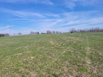 000 N Mm N, Mountain Grove, MO 65711 - photo 7