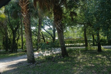 Driveway into front yard