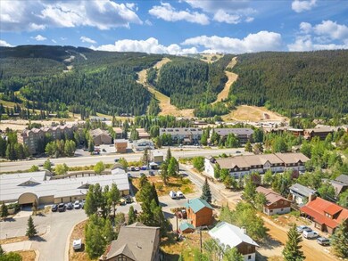 19 E Hanson Rd, Dillon, CO 80435 - photo 4