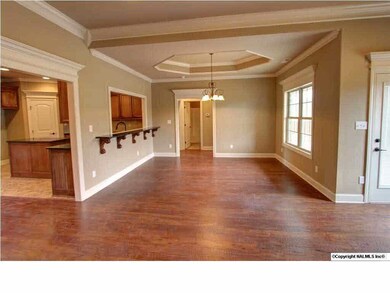 Breakfast area has a trey ceiling, hardwood floors, and 9 foot ceilings.