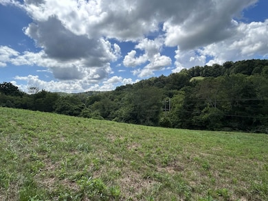 1 Chicken Creek Rd, Pulaski, TN 38478 - photo 6