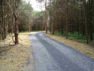 TBD Cline Ln, Verona, VA 24482 - photo 2