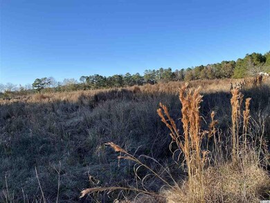TBD Lambert Rd unit 32.42 Acres, Conway, SC 29526 - photo 4