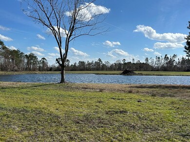 904 Hickory Nut Rd, Nicholls, GA 31554 - photo 4