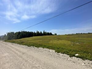 View from road
